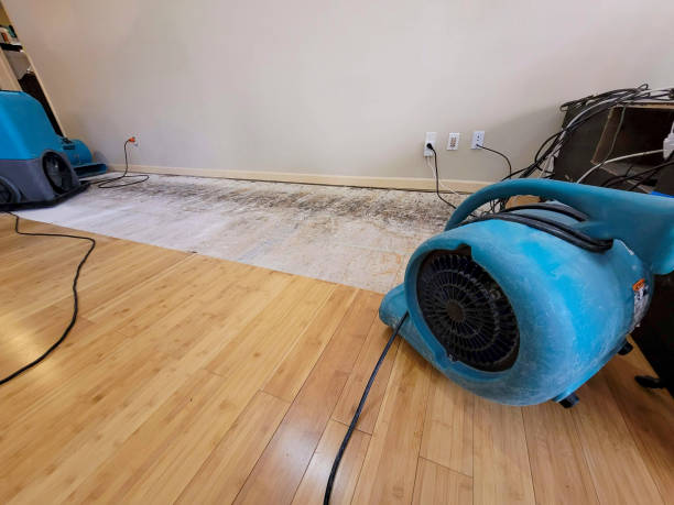 Reliable Storm Water Damage Restoration contractor in Carrboro, NC by Hirex Water Damage